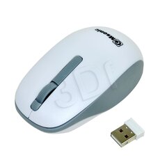 Msonic MX707W, valkoinen hinta ja tiedot | Msonic Tietokoneet ja pelaaminen | hobbyhall.fi