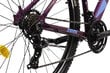 Maastopyörä DHS 2922 29", violetti. hinta ja tiedot | Polkupyörät | hobbyhall.fi