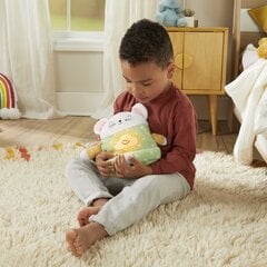 Projectori-hiiri äänillä Fisher Price, GRV08 hinta ja tiedot | Vauvan lelut | hobbyhall.fi