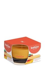 Bolsius-tuoksukynttilä True Scents, 6,3x9 cm, mango. hinta ja tiedot | Kynttilät ja kynttilänjalat | hobbyhall.fi