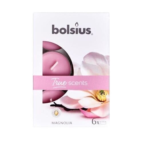 Bolsius Teekynttilät True Scents, 6 kpl, magnolia. hinta ja tiedot | Kynttilät ja kynttilänjalat | hobbyhall.fi