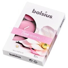 Bolsius Teekynttilät True Scents, 6 kpl, magnolia. hinta ja tiedot | Kynttilät ja kynttilänjalat | hobbyhall.fi