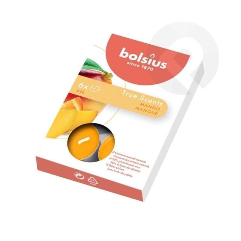 Bolsius-kynttilät True Scents, 6 kpl, Mango. hinta ja tiedot | Kynttilät ja kynttilänjalat | hobbyhall.fi