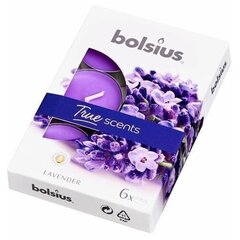 Bolsius Teekynttilät True Scents, 6 kpl, Laventeli. hinta ja tiedot | Kynttilät ja kynttilänjalat | hobbyhall.fi