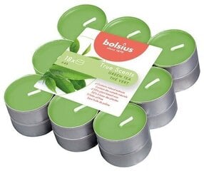 Bolsius-kynttilät True Scents, 18 kpl, Vihreä tee. hinta ja tiedot | Kynttilät ja kynttilänjalat | hobbyhall.fi