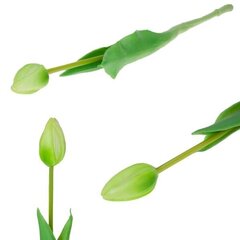 Keinotekoinen tulppaani, vihreä. hinta ja tiedot | Sisustustuotteet | hobbyhall.fi