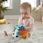 Pehmolelu siili Fisher Price, HBP42 hinta ja tiedot | Pehmolelut | hobbyhall.fi