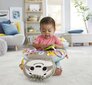 Lelutyyny laiskiainen Fisher Price, GRR01 hinta ja tiedot | Vauvan lelut | hobbyhall.fi