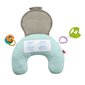 Lelutyyny laiskiainen Fisher Price, GRR01 hinta ja tiedot | Vauvan lelut | hobbyhall.fi