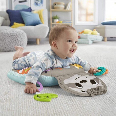 Lelutyyny laiskiainen Fisher Price, GRR01 hinta ja tiedot | Vauvan lelut | hobbyhall.fi