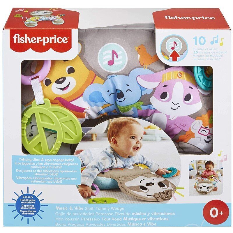 Lelutyyny laiskiainen Fisher Price, GRR01 hinta ja tiedot | Vauvan lelut | hobbyhall.fi