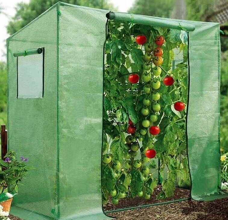 Kasvihuone tomaateille, 200x77x168 / 146 cm, valkoinen hinta ja tiedot | Kasvihuoneet | hobbyhall.fi