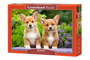 Palapeli 1000 WELSH CORGI PENNUT 104659 hinta ja tiedot | Palapelit | hobbyhall.fi