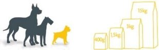 Fitmin Fitmin Mini Puppy - 15 kg hinta ja tiedot | Koiran kuivaruoka | hobbyhall.fi