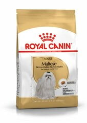 Royal Canin aikuinen Maltan biisoni Maltan aikuinen, 1.5kg. hinta ja tiedot | Koiran kuivaruoka | hobbyhall.fi