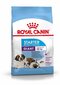 Kuivaruoka koirille Royal Canin Giant Starter Mother & Babydog Universal, 15 kg. hinta ja tiedot | Koiran kuivaruoka | hobbyhall.fi