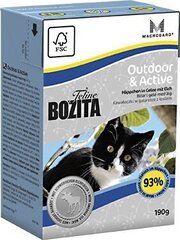 Säilykkeet kissoille Bozita Feline Outdoor & Active - tetrapakkaus, 190 g. hinta ja tiedot | Kissanruoka | hobbyhall.fi