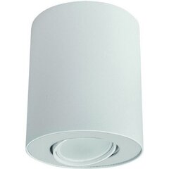 Nowodvorski Lighting kattovalaisin 8895 Set White/White hinta ja tiedot | Nowodvorski Lighting Huonekalut ja sisustus | hobbyhall.fi