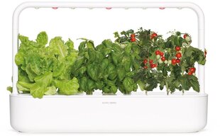 Click & Grow Smart Garden 9 hinta ja tiedot | Sisäpuutarhat ja kasvilamput | hobbyhall.fi