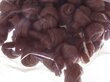 Herkullinen pehmeä solmu kanan kanssa Maced, 6 cm, 500 g. hinta ja tiedot | Koiran herkut | hobbyhall.fi