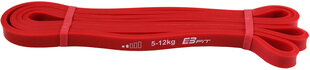 Vastuskuminauha Eb Fit, 5 - 12 kg, punainen. hinta ja tiedot | Vastuskuminauhat | hobbyhall.fi