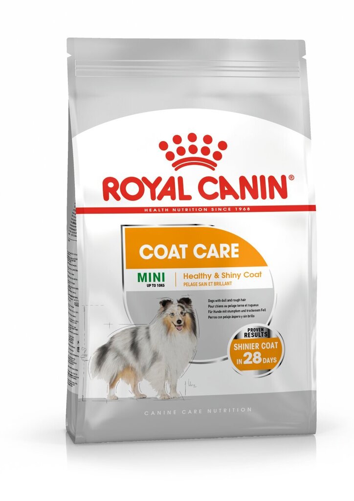 Royal Canin terveille turkiksille ja iholle Mini Coat Care, 1 kg. hinta ja tiedot | Koiran kuivaruoka | hobbyhall.fi