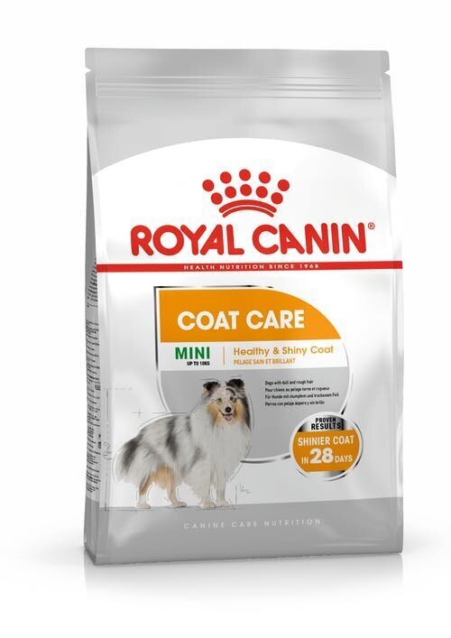 Kuivaruoka pienille aikuisille koirille Royal Canin Karma CCN Mini Coat Care, 3 kg. hinta ja tiedot | Koiran kuivaruoka | hobbyhall.fi