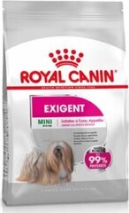 Royal Canin -ruoka aikuisille pienille ja valikoiduille roduille Mini Exigent, 3 kg, hinta ja tiedot | Koiran kuivaruoka | hobbyhall.fi