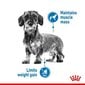 Kuninkaalliset koirat, joilla on taipumus painoa Mini Light Weight Care, 3 kg. hinta ja tiedot | Koiran kuivaruoka | hobbyhall.fi