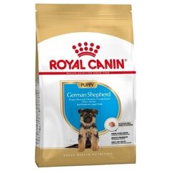 Kuivaruoka nuorelle saksanpaimenkoiralle Royal Canin -rodun saksanpaimenkoirapennulle, 1 kg. hinta ja tiedot | Koiran kuivaruoka | hobbyhall.fi