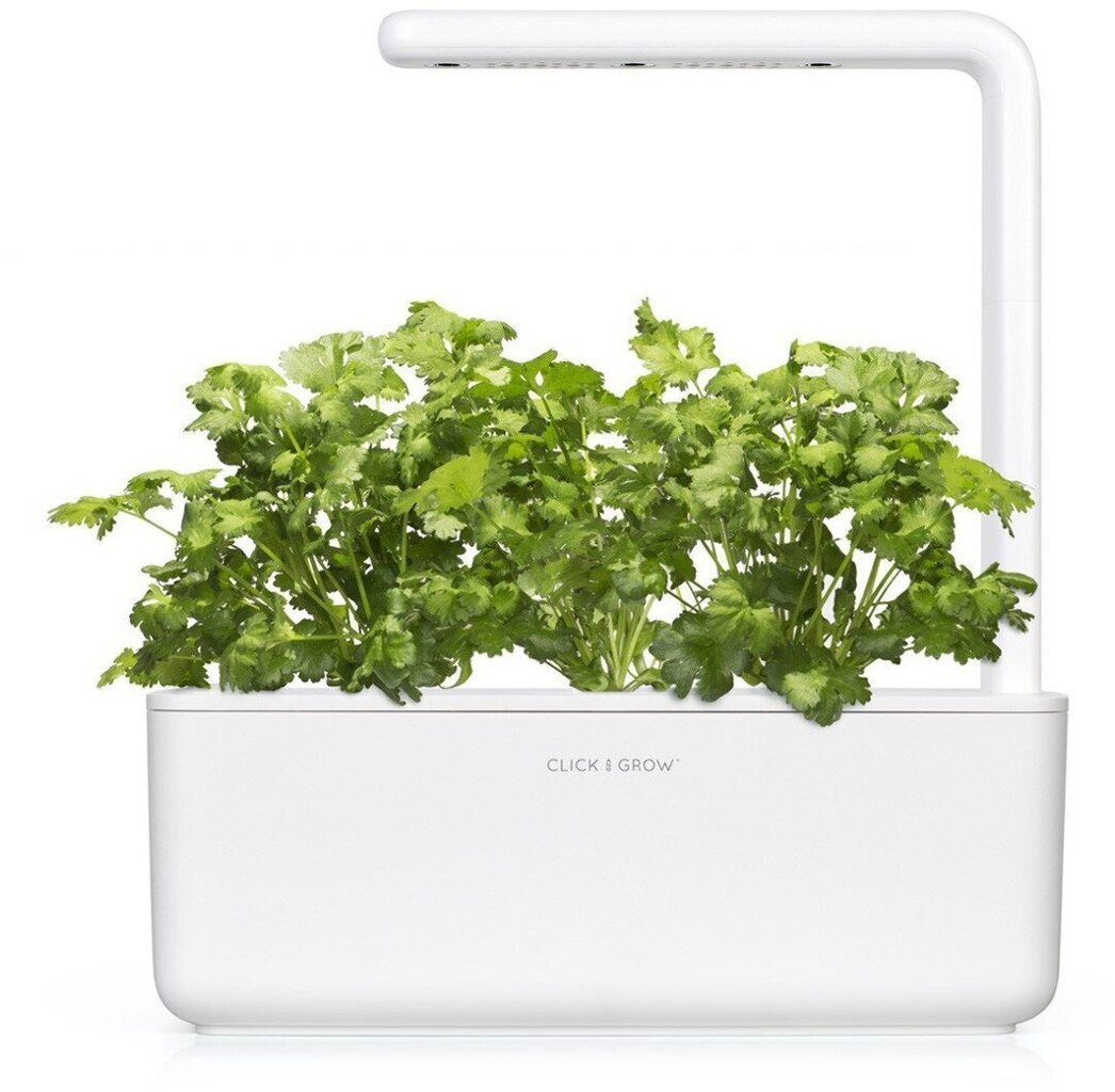 Click & Grow Smart Garden -täyttö Korianteri 3kpl hinta ja tiedot | Sisäpuutarhat ja kasvilamput | hobbyhall.fi
