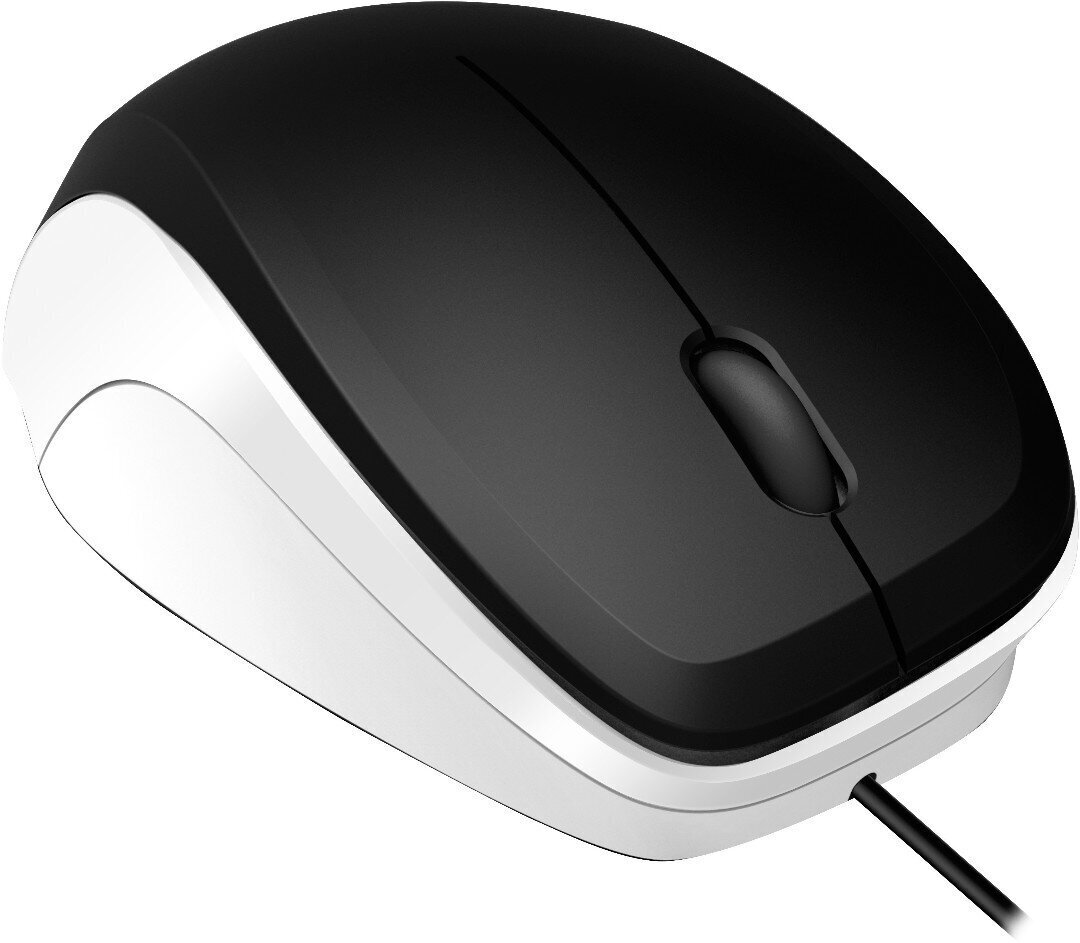 Speedlink-hiiri Ledgy Silent, musta/valkoinen (SL-610015-BKWE) hinta ja tiedot | Hiiret | hobbyhall.fi