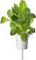Click & Grow Plant Pod -salaattisekoitus 9 kpl hinta ja tiedot | Sisäpuutarhat ja kasvilamput | hobbyhall.fi