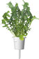 Click & Grow Plant Pod -salaattisekoitus 9 kpl hinta ja tiedot | Sisäpuutarhat ja kasvilamput | hobbyhall.fi