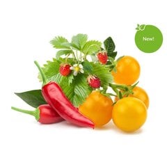 Click and Grow Smart Garden Refill, 9 kpl marjoja ja vihanneksia hinta ja tiedot | Sisäpuutarhat ja kasvilamput | hobbyhall.fi