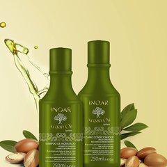 Kosteuttava hiustenhoitosetti arganöljyllä INOAR Argan Duo Kit: shampoo 250 ml + hoitoaine 250 ml hinta ja tiedot | Shampoot | hobbyhall.fi