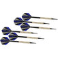 Darts-setti Enero, 6 kpl, hinta ja tiedot | Darts | hobbyhall.fi