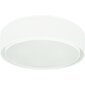 Nowodvorski Lighting kattovalaisin 8943 Mist III hinta ja tiedot | Kattovalaisimet | hobbyhall.fi