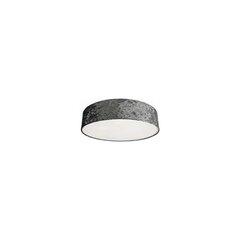 Nowodvorski Lighting kattovalaisin 8956 Crogo Gray IV hinta ja tiedot | Kattovalaisimet | hobbyhall.fi