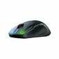 Roccat ROC-11-410-02, musta hinta ja tiedot | Hiiret | hobbyhall.fi