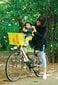 Polkupyörätuoli Bellelli Tatoo Plus -malliin, keltainen hinta ja tiedot | Lastenistuimet polkupyöriin | hobbyhall.fi
