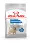 Royal Canin -koirat, joilla on taipumus lihoa Mini Light Weight Care, 1 kg. hinta ja tiedot | Koiran kuivaruoka | hobbyhall.fi