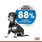 Royal Canin -koirat, joilla on taipumus lihoa Mini Light Weight Care, 1 kg. hinta ja tiedot | Koiran kuivaruoka | hobbyhall.fi