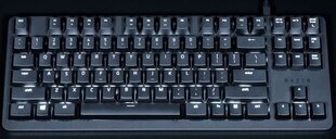 Razer BlackWidow Lite – Silent, Gaming hinta ja tiedot | Näppäimistöt | hobbyhall.fi