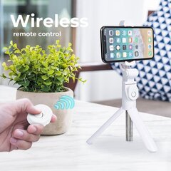 RoGer AA 2in1 jalustalla ja Bluetooth-ohjauksella hinta ja tiedot | Selfie-tikut ja -telineet | hobbyhall.fi