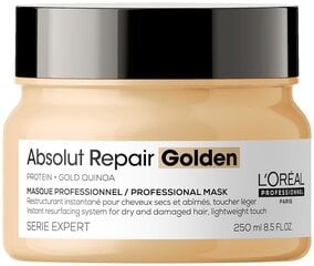 Kultainen hiuksia palauttava naamio L'Oreal Professionnel Absolut Repair Golden Mask 250ml hinta ja tiedot | Naamiot, öljyt ja seerumit | hobbyhall.fi