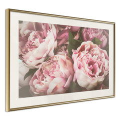 Juliste - Pastel Peonies hinta ja tiedot | Taulut | hobbyhall.fi