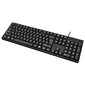 Acme KS06 Wired, Keyboard layout EN, USB hinta ja tiedot | Näppäimistöt | hobbyhall.fi