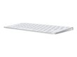 Apple Magic Keyboard - Swedish - MK2A3S/A hinta ja tiedot | Näppäimistöt | hobbyhall.fi