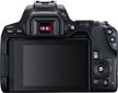 Canon EOS 250D (Black) + EF-S 18-55mm f/4-5.6 IS STM + EF 50mm f/1.8 STM hinta ja tiedot | Kamerat | hobbyhall.fi